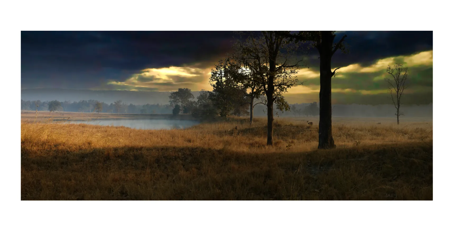 Panoramic Trees Forests and Woodlands Photos for sale, Forests and woodlands Wall Art, Shop Tree Panoramic Prints & Landscape Wall Art, Woodland Photos for Sale, Trees and Landscape