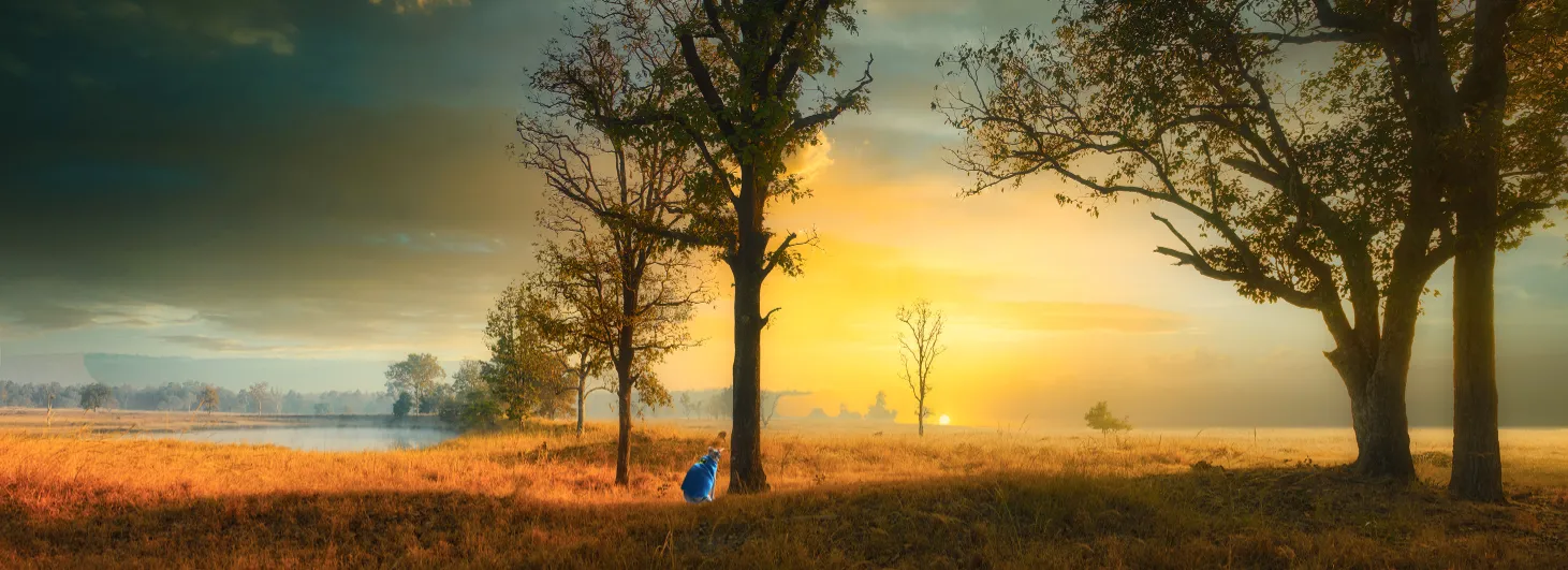 Immortalize Your Pets Through Arts - Pet Grief, Coping with Losing a Pet