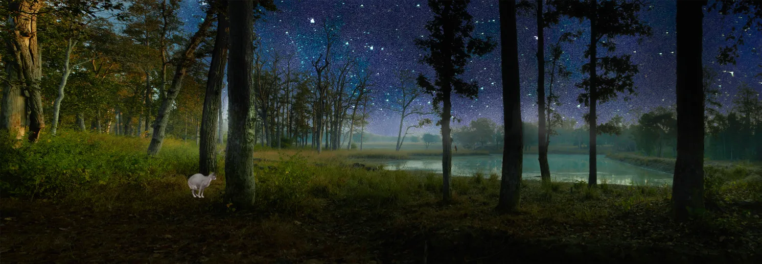 Immortalize Your Pets Through Arts - Pet Grief, Coping with Losing a Pet