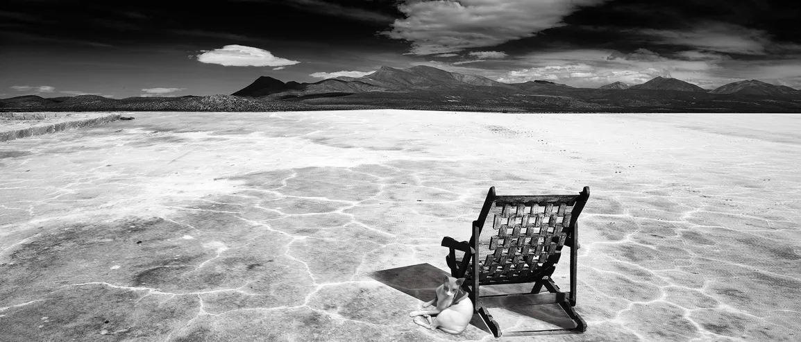 Famous Private Art Collections