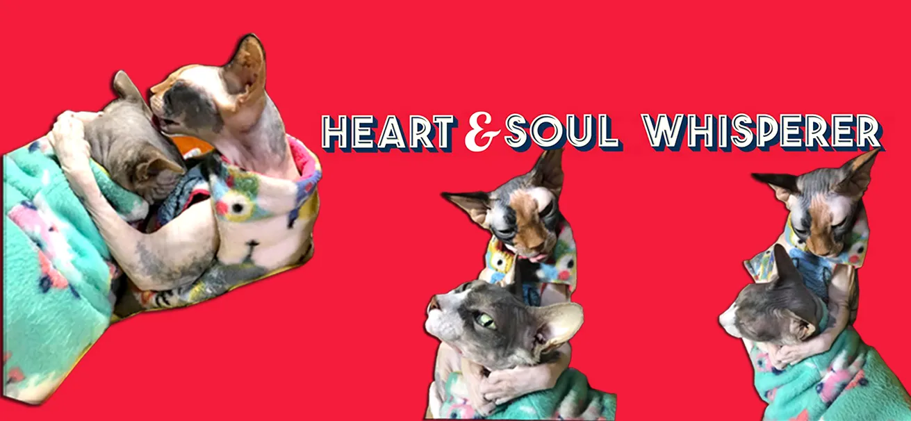 Help and Support ZUCKY AND ZOOKY SPHYNX CAT