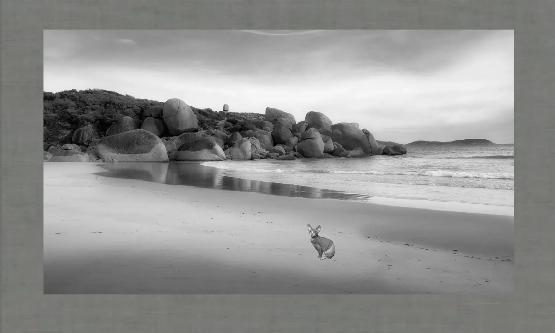 Life Lessons from Sandy Beach : Beachside Reflections