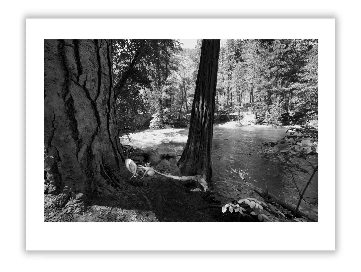 A Collector’s Guide to Fine Art Photography