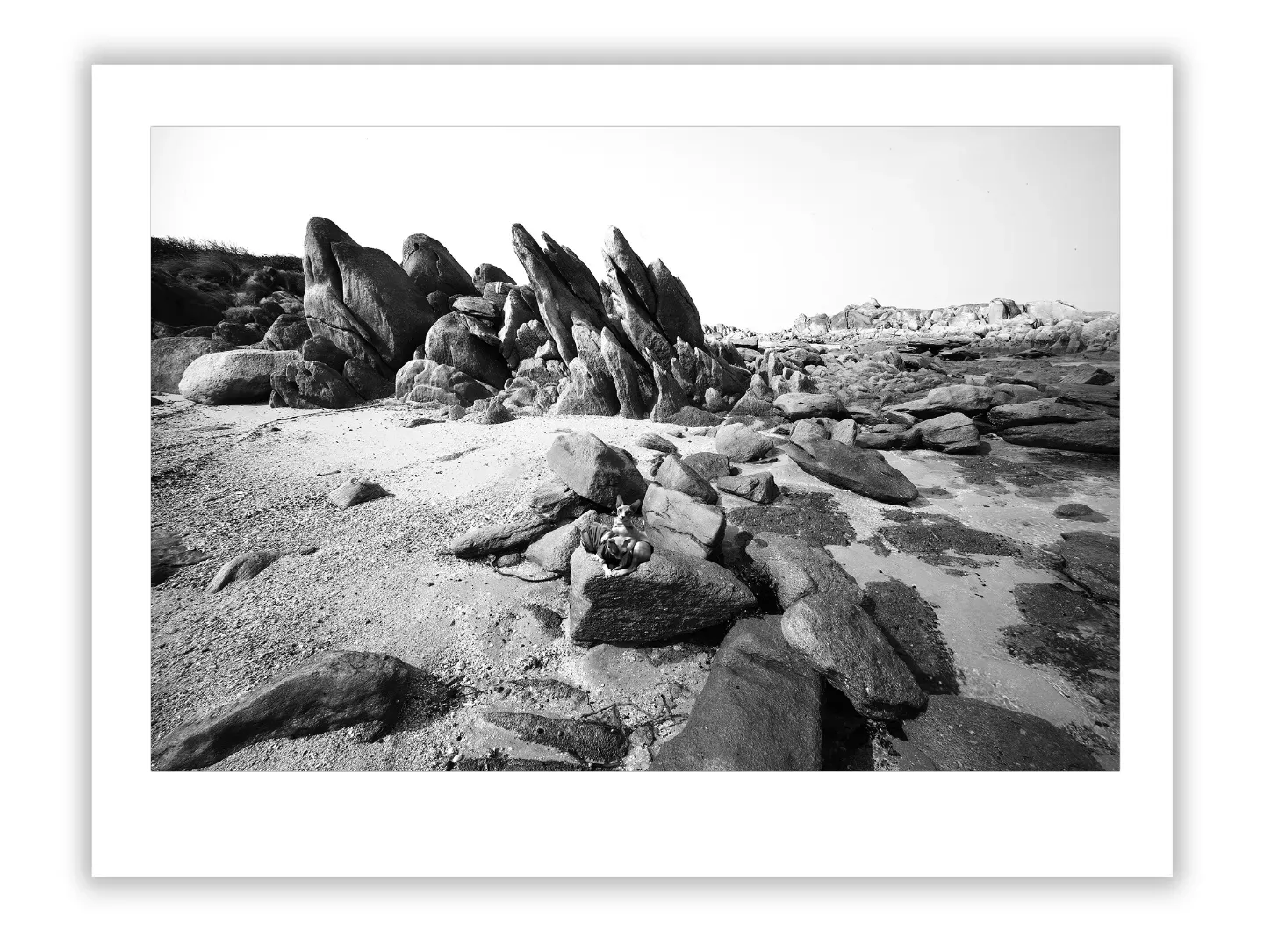 Life Lessons from Rocky Coast: Finding Strength in Nature