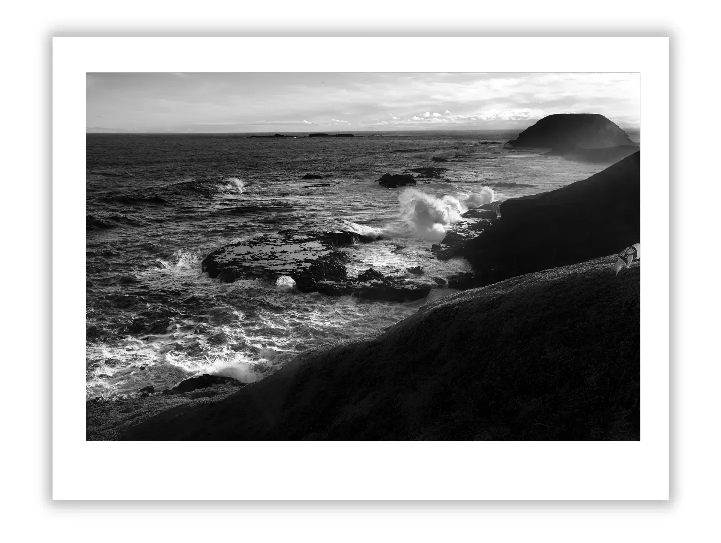 Case Studies of Notorious Art Buying Mistakes