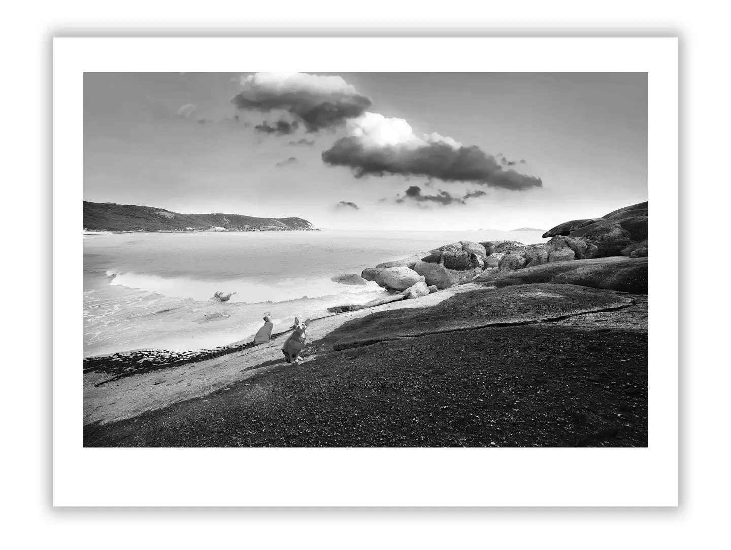 Life Lessons from At the Water's Edge: Transform Your Journey