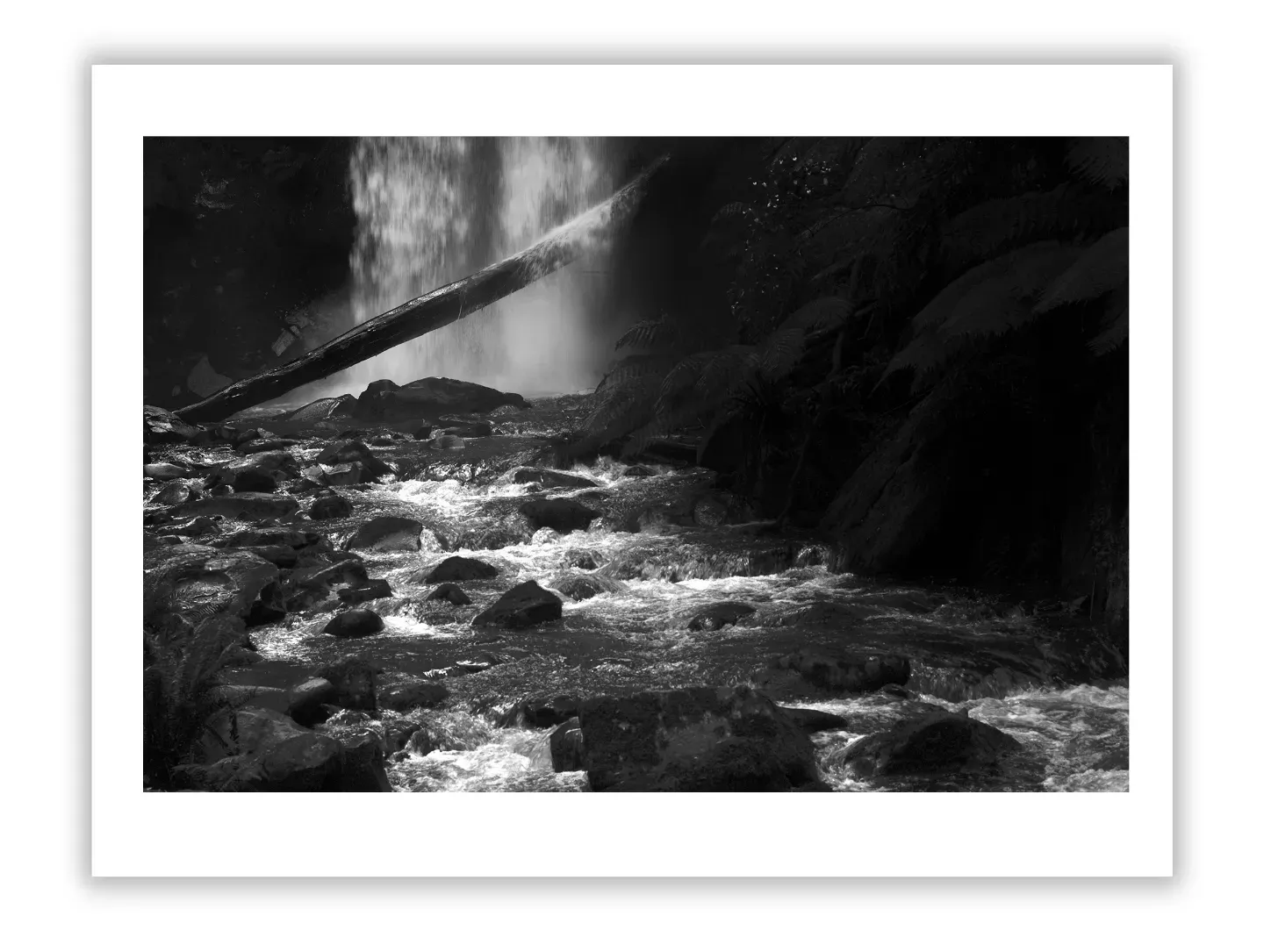 Trump Tower : Art, Architecture, and Real Estate Legacy