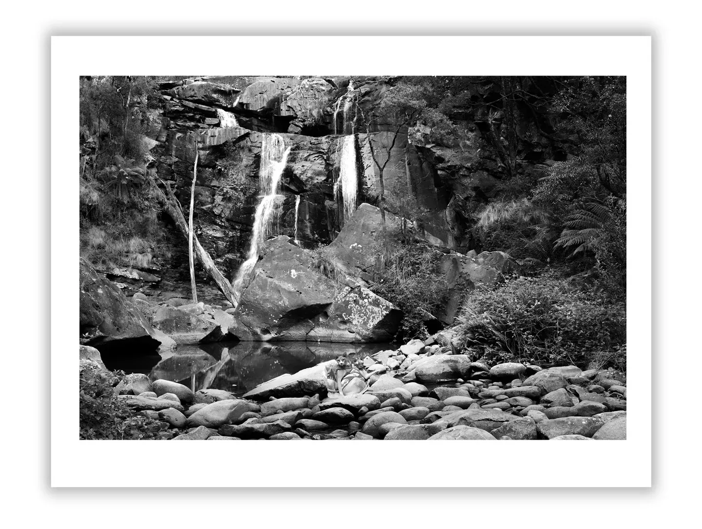 Concise Guide to Art Law for Artists, Collectors, and Curators