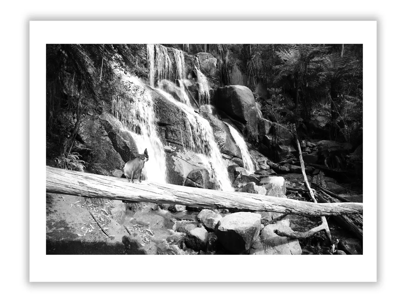 Art and Intellectual Property Rights Explained - Intellectual Property Rights in Art