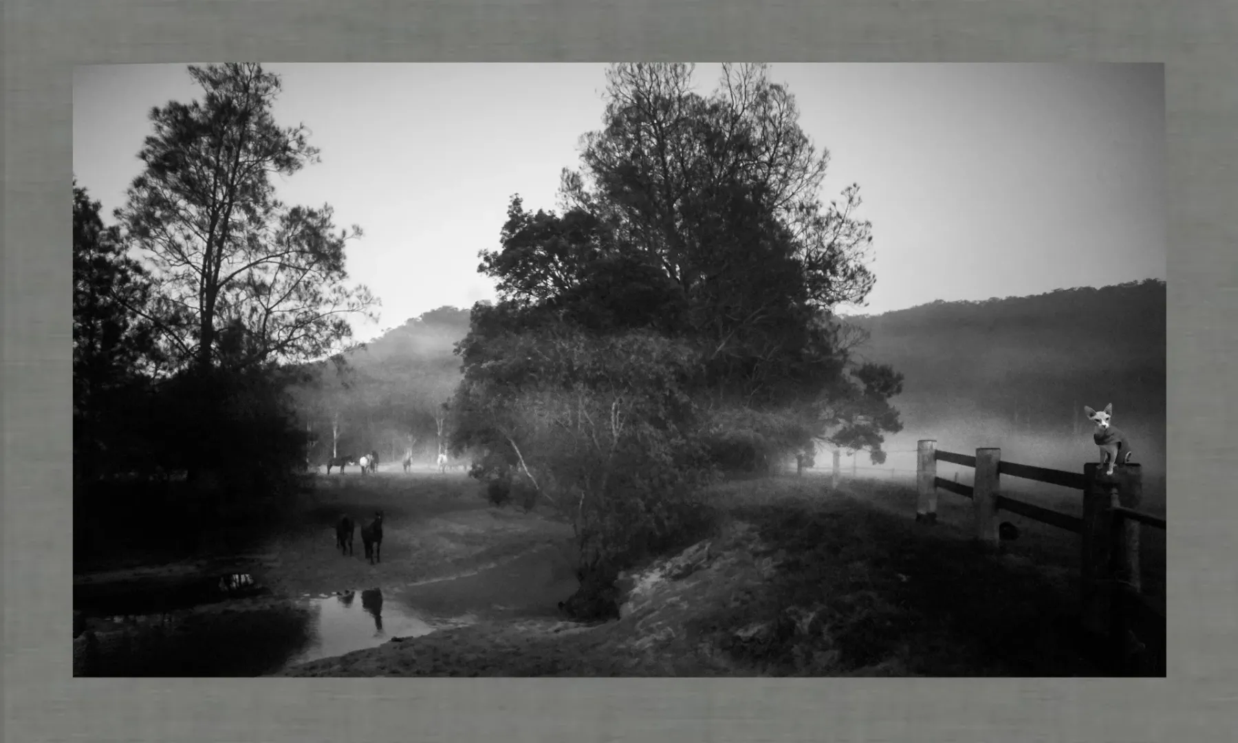 Australian photographer and dentist Dr Zenaidy Castro