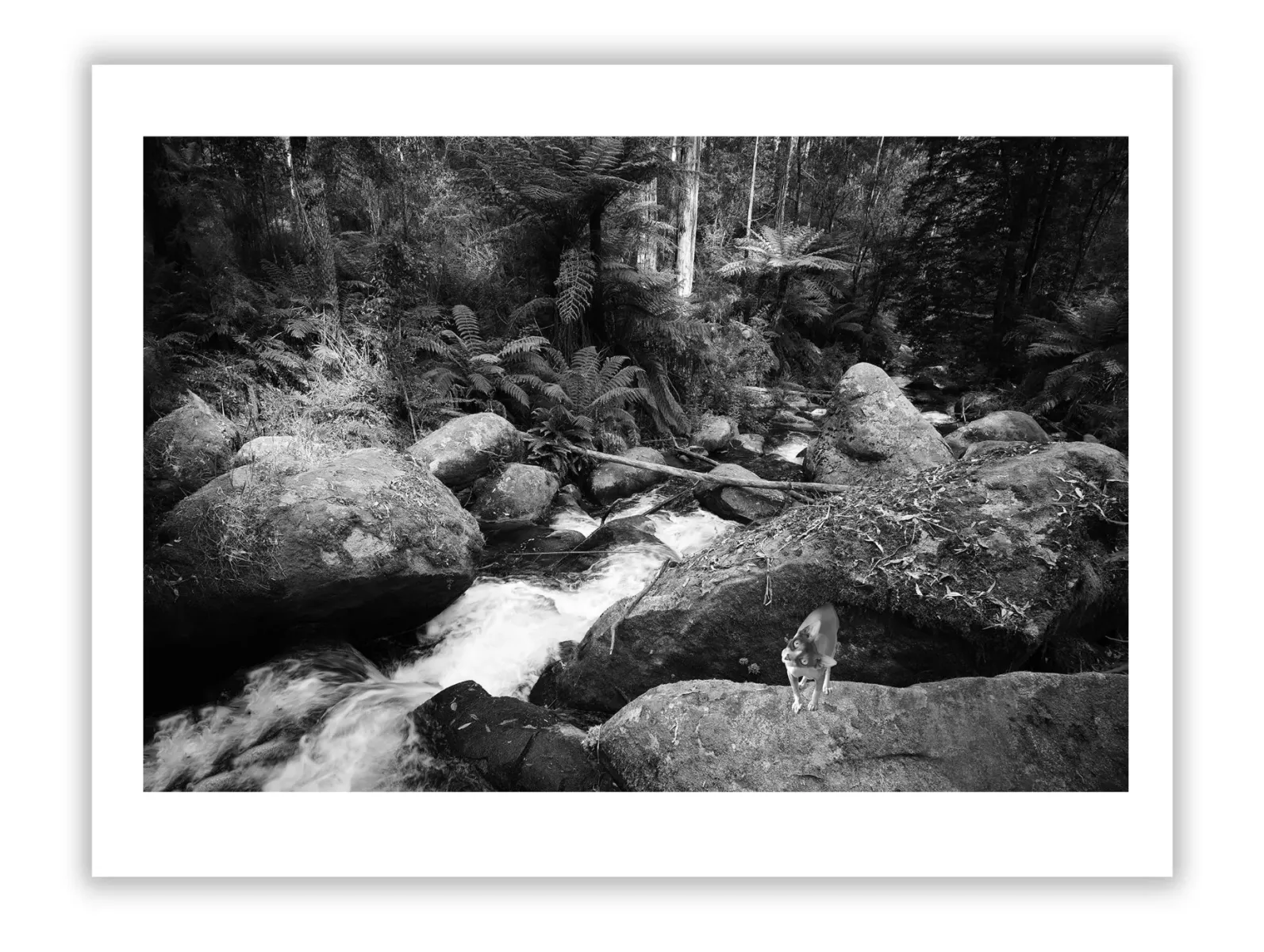 Life Lessons from Creeks: Nature's Flow and Inspiring Guide