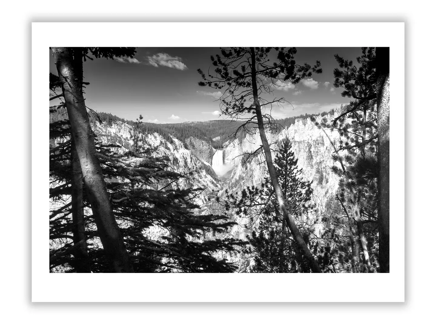 Speculators and Investors in the Art Market