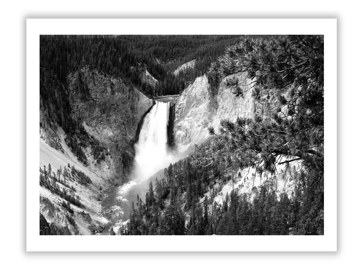 The Rise of Private Art Collections Globally