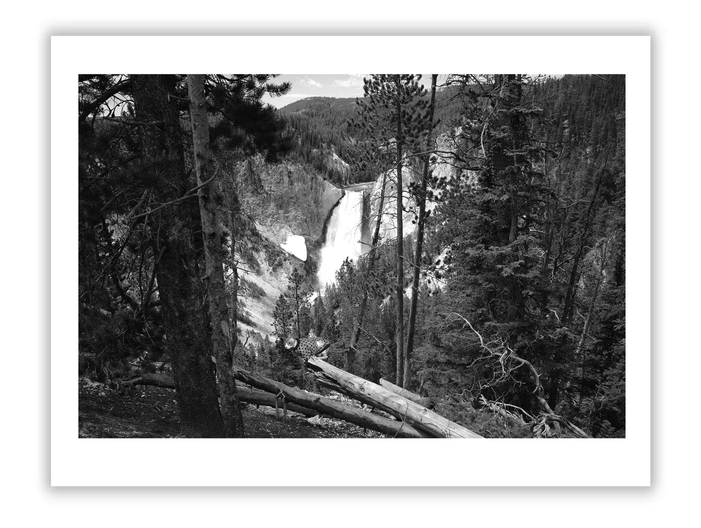 Private Art Collecting for Beginners and Experts