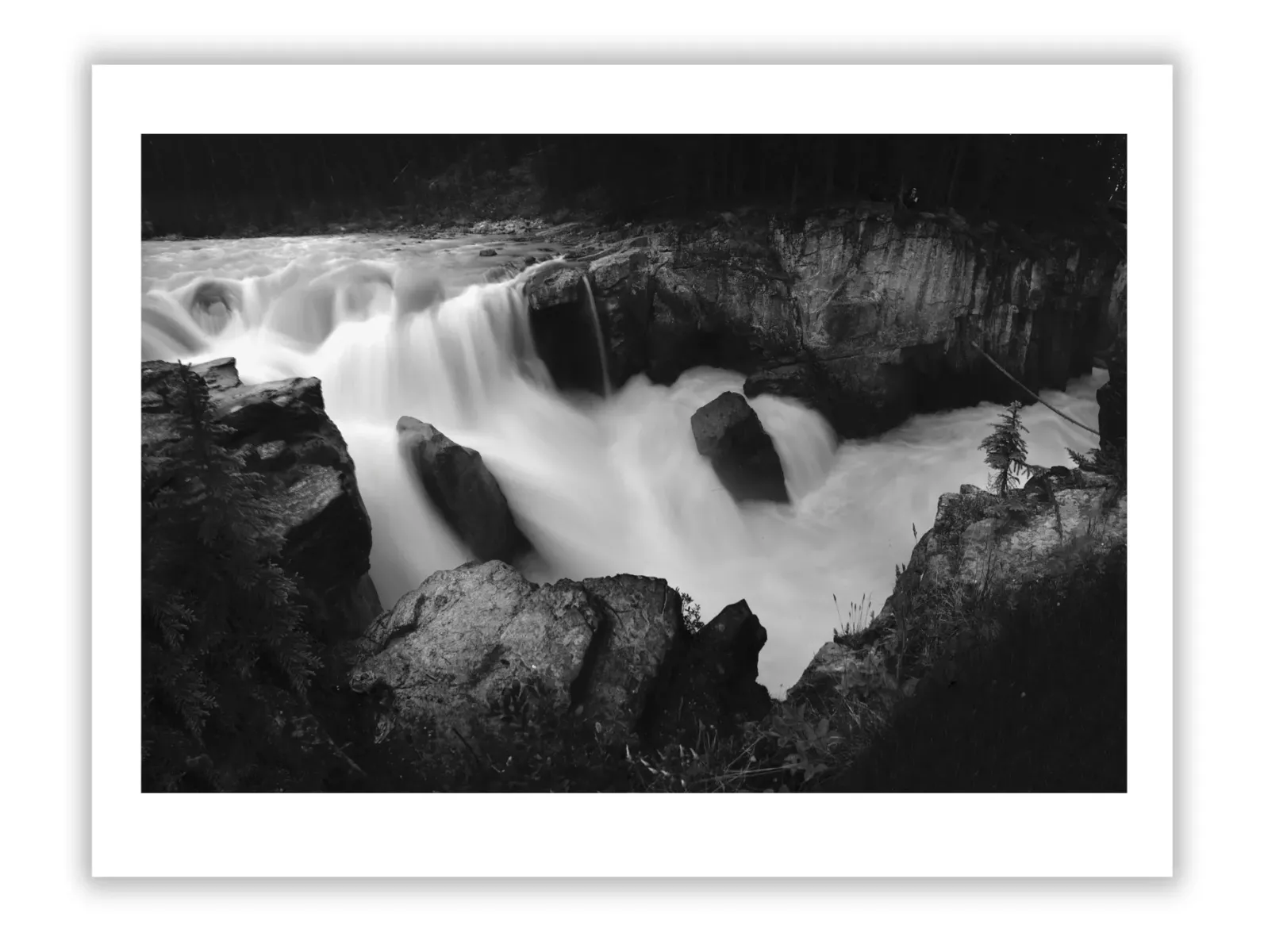 Tax Implications of Private Art Collecting