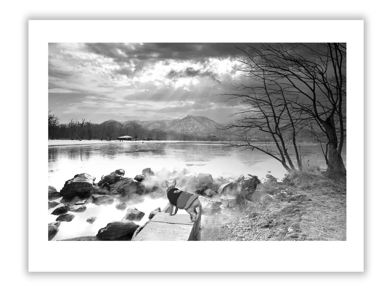 Life Lessons from At the Water's Edge: Transform Your Journey