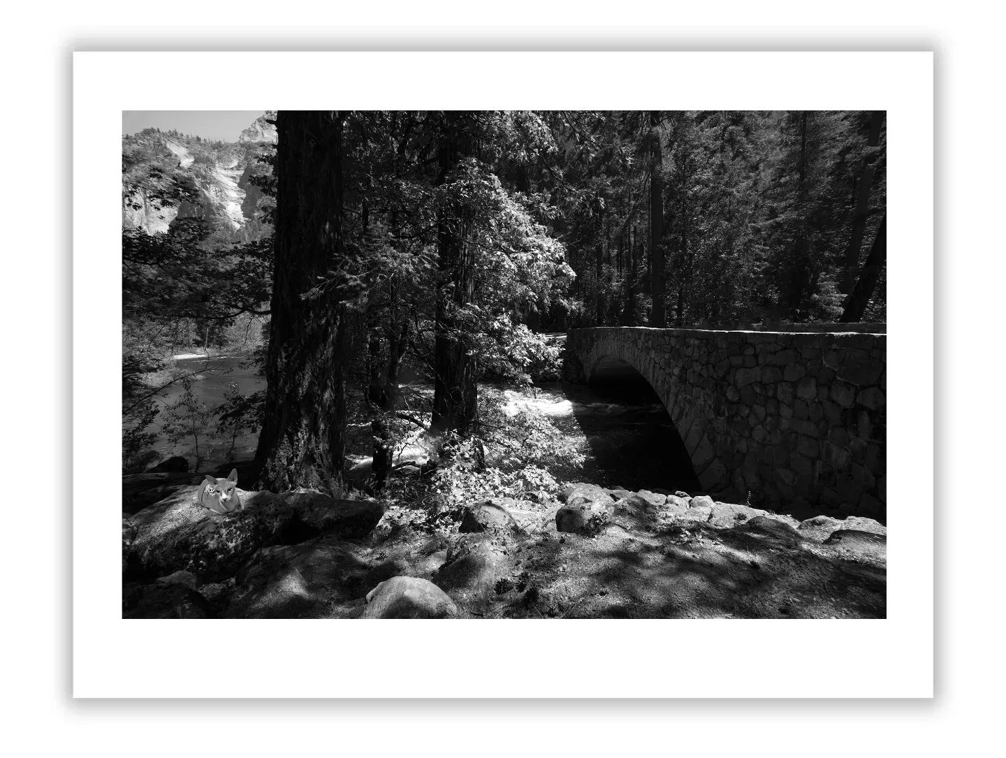 The Hidden Risks of Art Collecting: Forgeries and Provenance