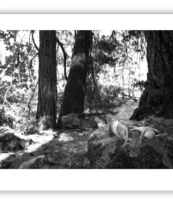 1.4-156 ORIENTATION Black and White