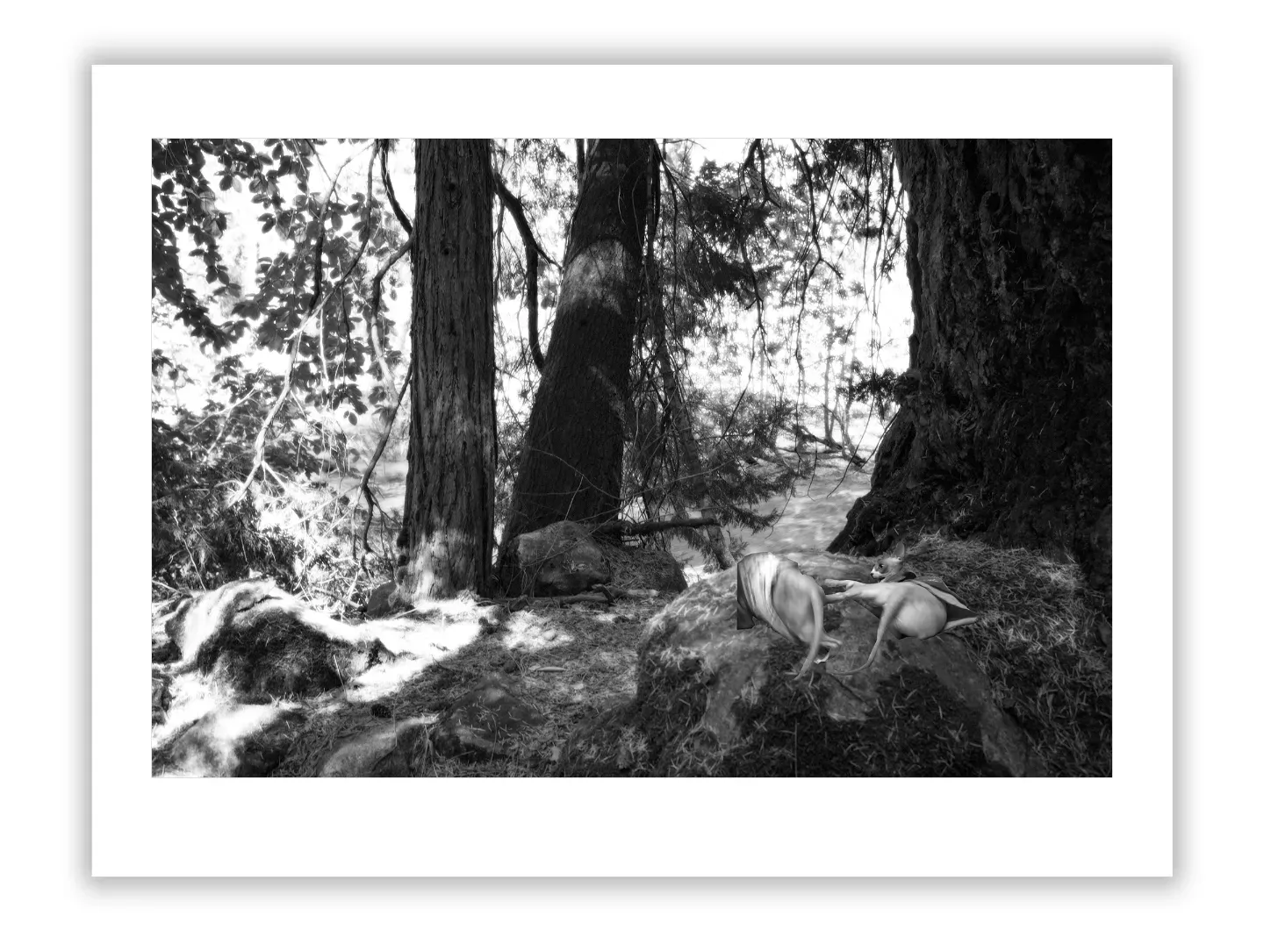 Curating Your Own Private Art