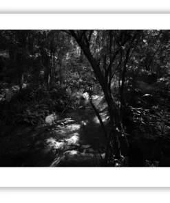 1.4-157 ORIENTATION Black and White