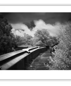 1.4-160 ORIENTATION Black and White Photos