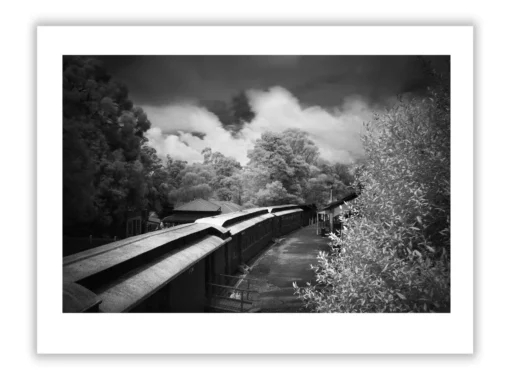 Art Collectors Buying Prints