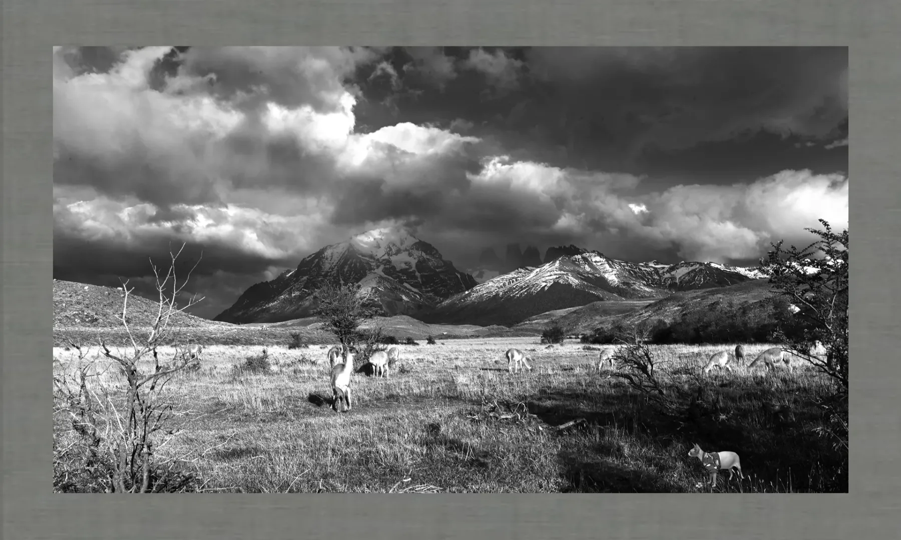 How to Style Luxury Interiors with B&W Photography