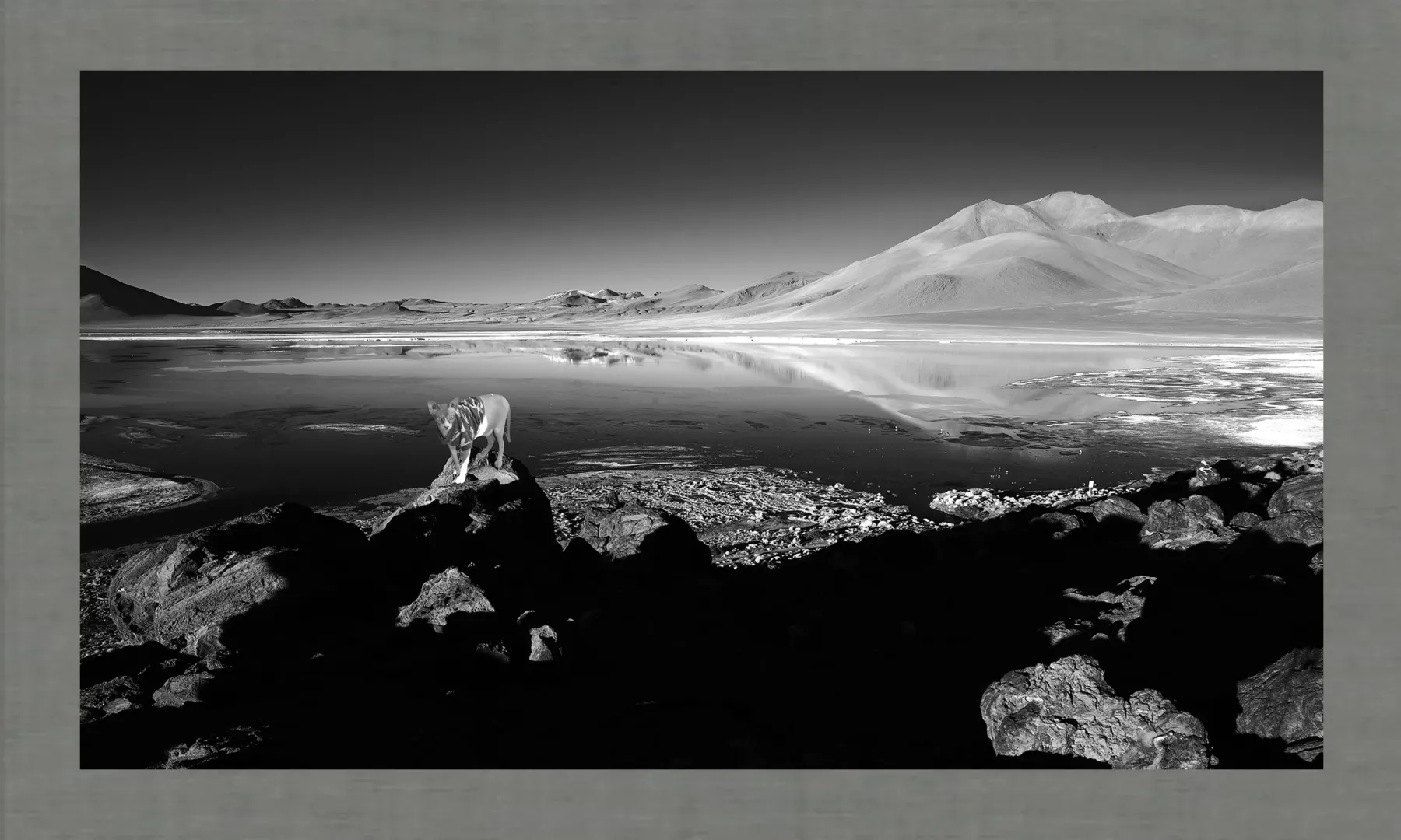 Australian photographer and dentist Dr Zenaidy Castro