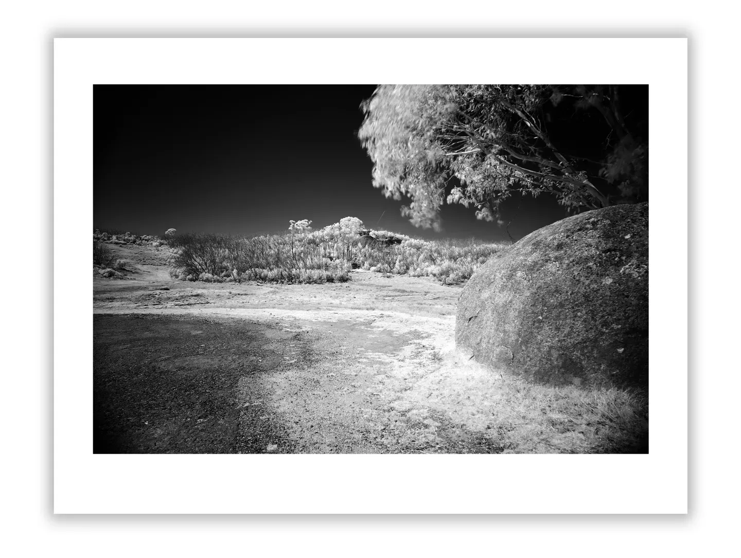 Affordable luxury art for corporate art procurement