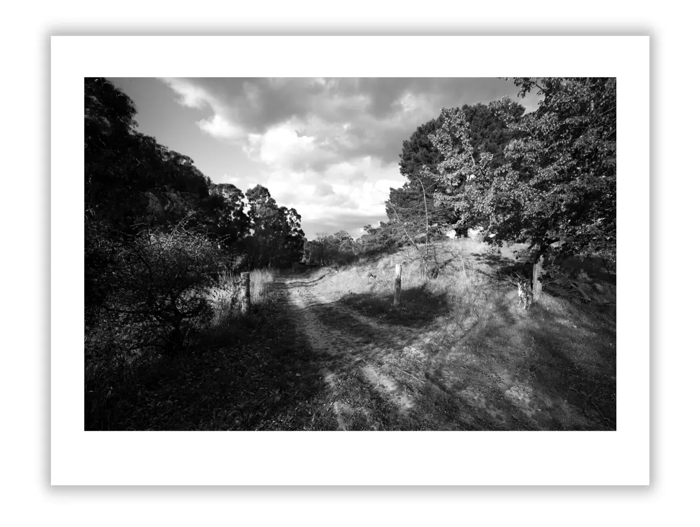 Styling Cruise Interiors with Fine Art Photography