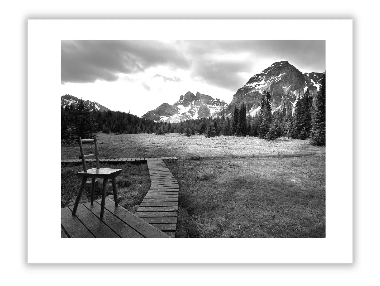 Transform Interiors with Fine Art Photography and Style