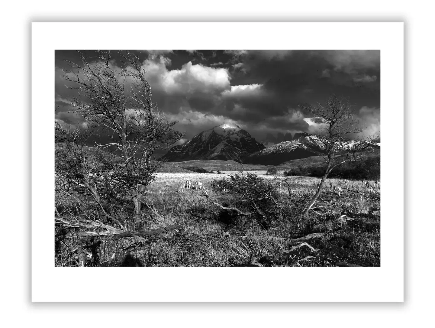 Art and Colour in Luxury Properties: A Comprehensive Guide