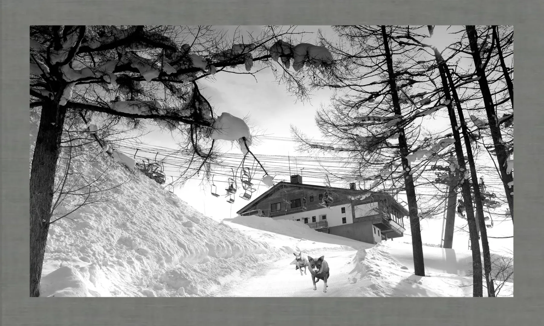 Life Lessons from Snowscapes: Winter Wisdom & Inspiration