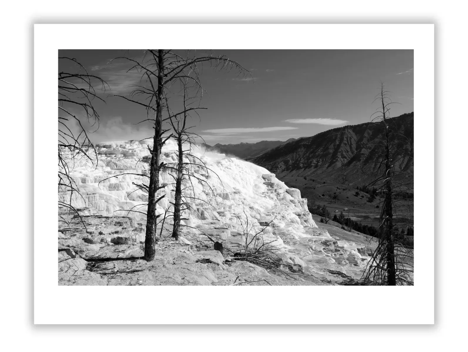 Lewis Hine: Visionary Who Changed the World Through Images