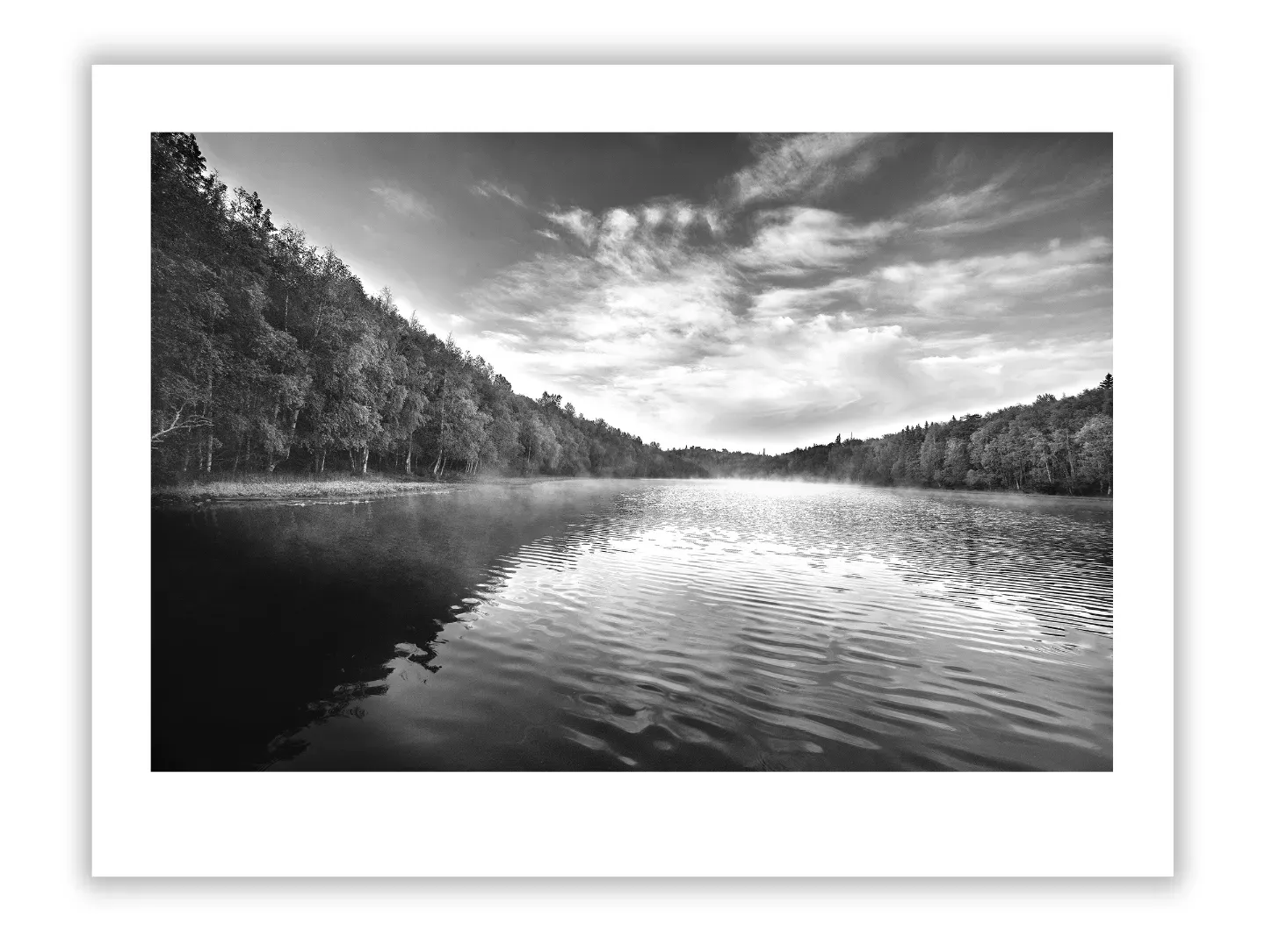 Thomas Struth: Architect of Collective Memory in Photography