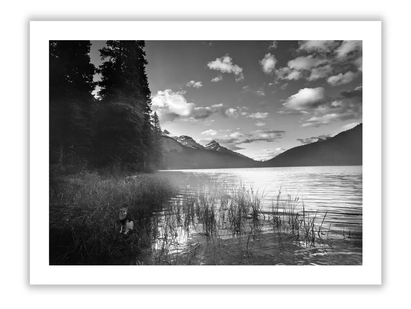 Life Lessons From The Lake