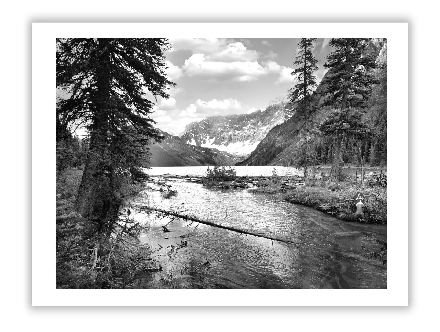 Edward Steichen: Pioneer of Art and Fashion Photography