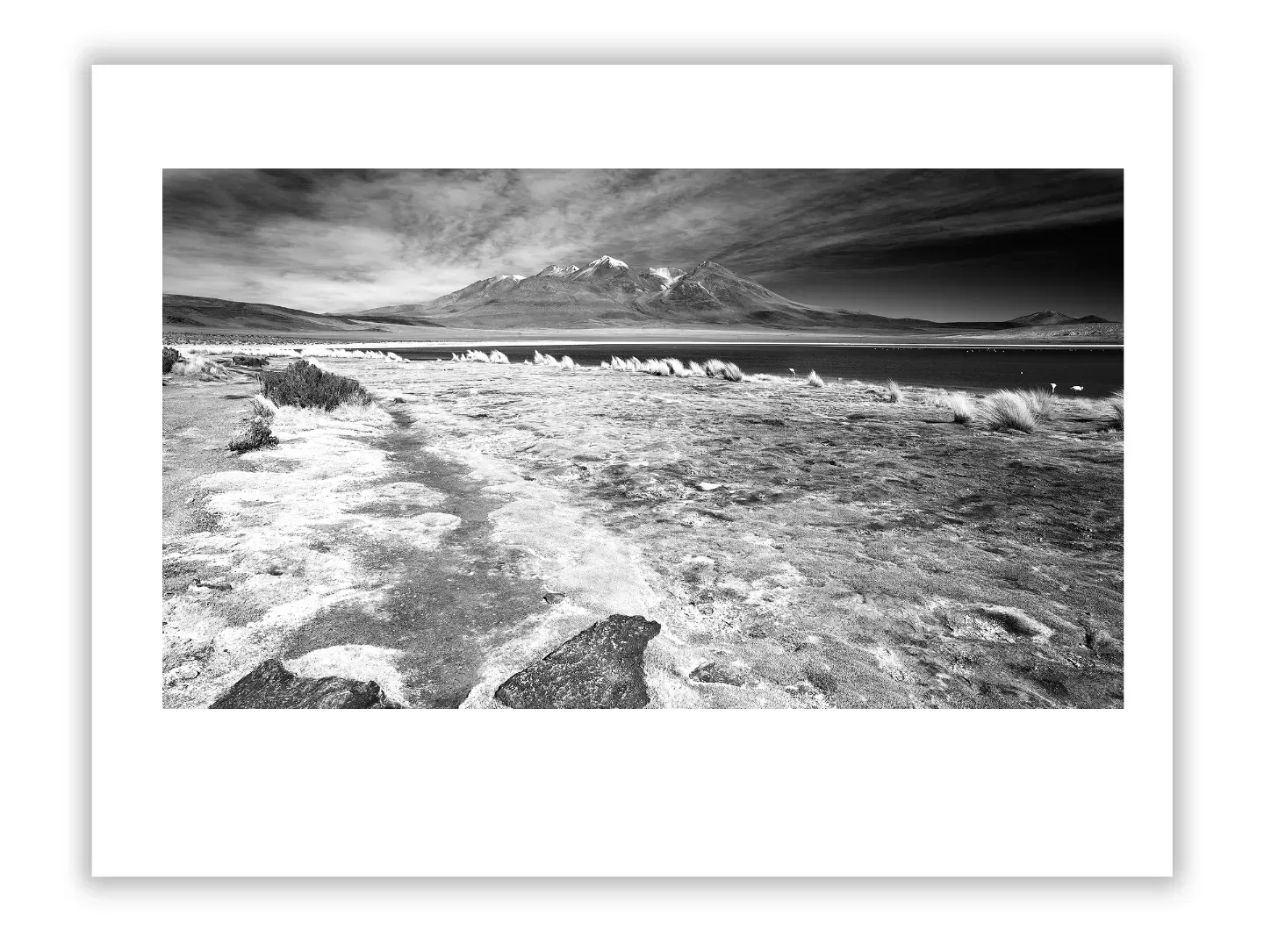 Sebastião Salgado: Humanitarian Vision Through the Lens