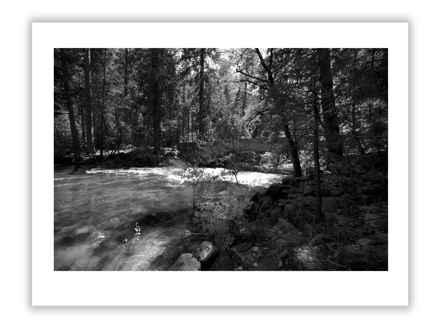 Fine Art Photography as a Smart Investment