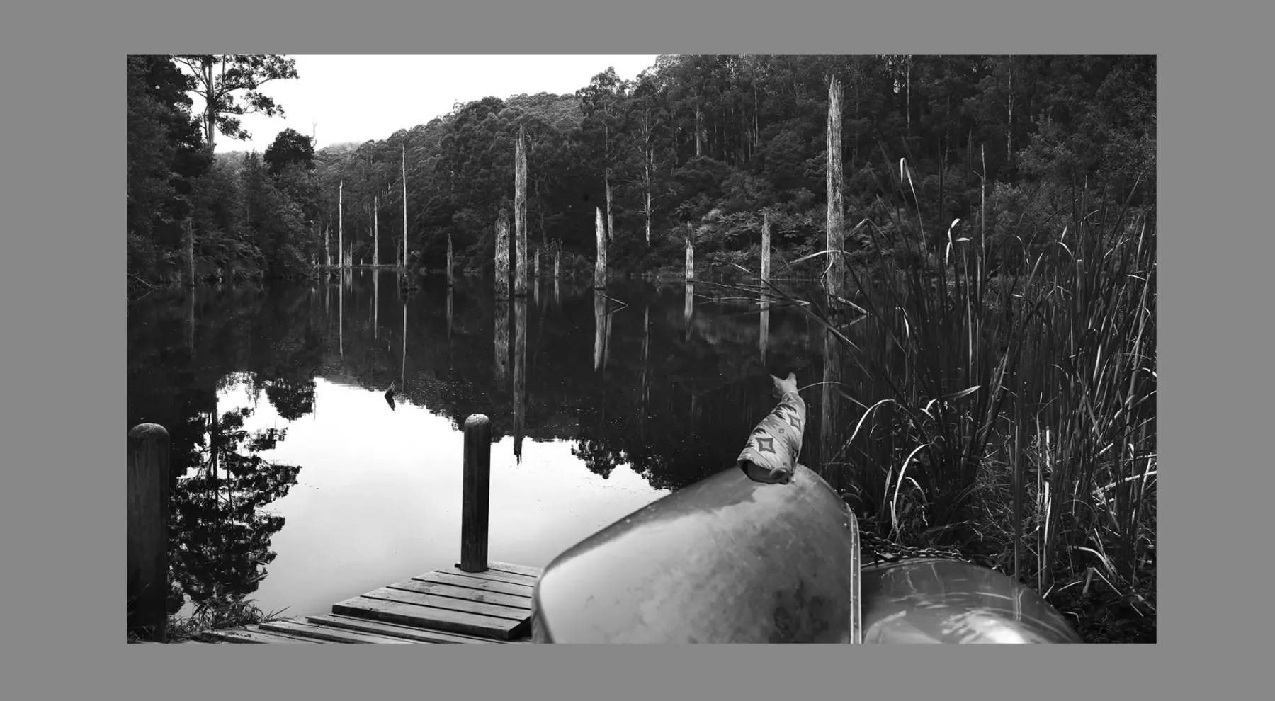 Australian photographer and dentist Dr Zenaidy Castro