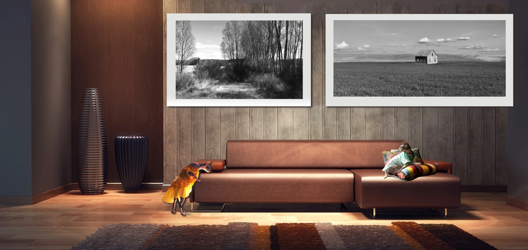 Black and White Countryside and Rural landscape Photos, Fine Art Photography with sphynx Cats