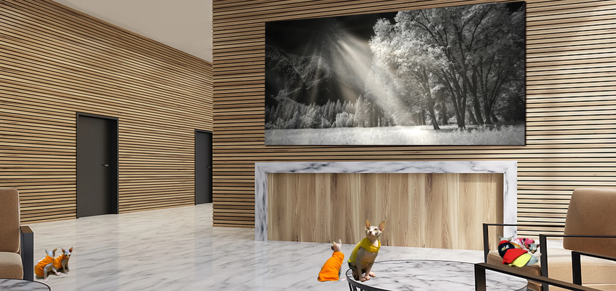 Black and White INFRARED Trees Woodland Rainforest Photos for sale, Fine Art Photography with sphynx Cats