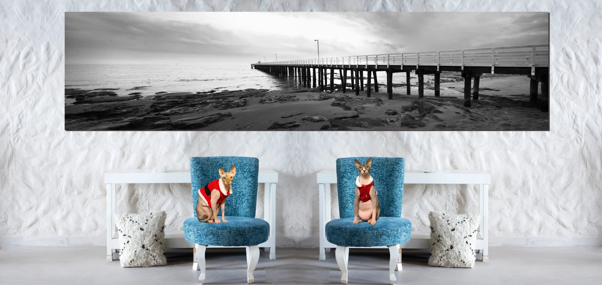 Black and White Minimalistic Beach and Coastal Photos, Fine Art Photography with sphynx Cats
