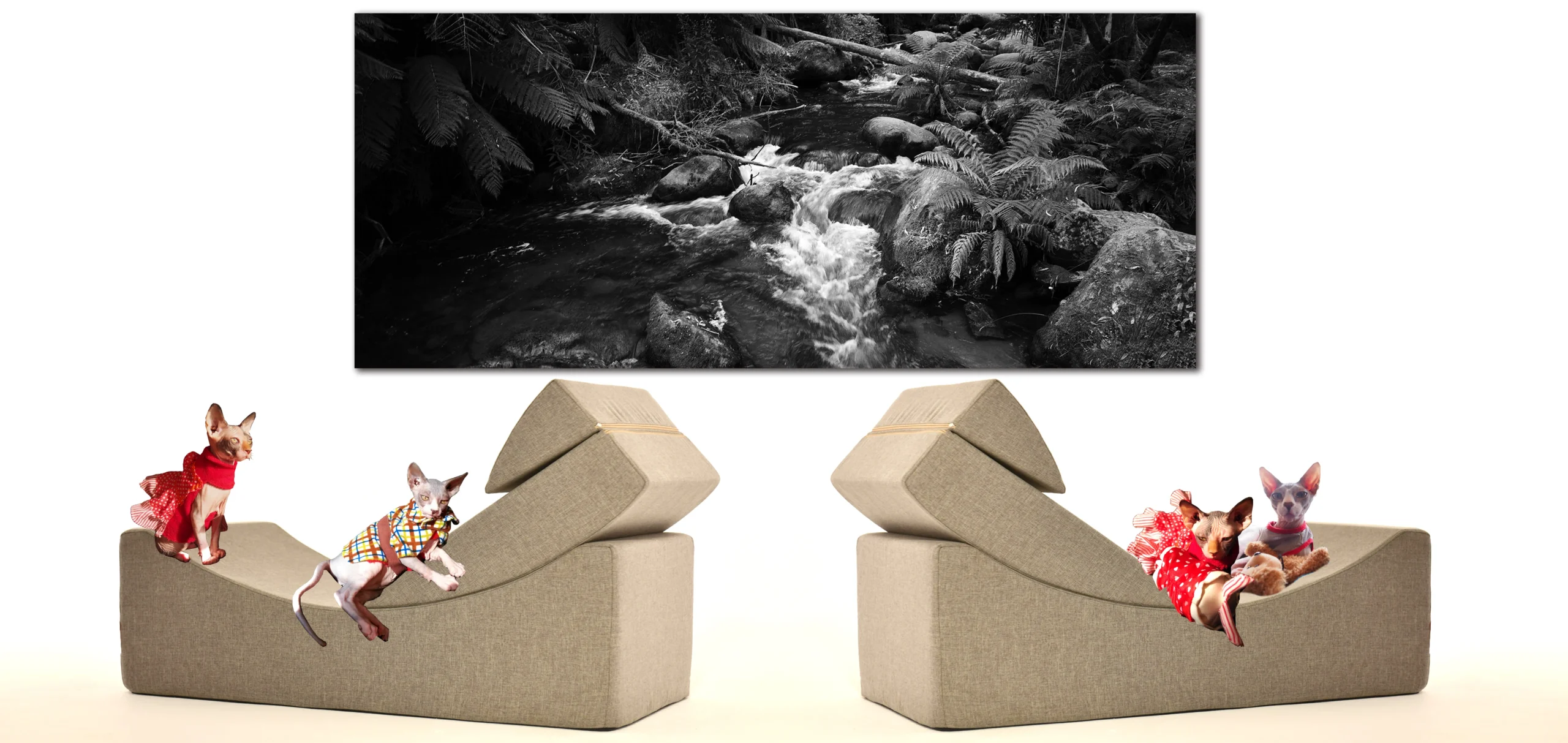 Black and White Minimalistic Rock Formation and Cave Photos, Fine Art Photography with sphynx Cats