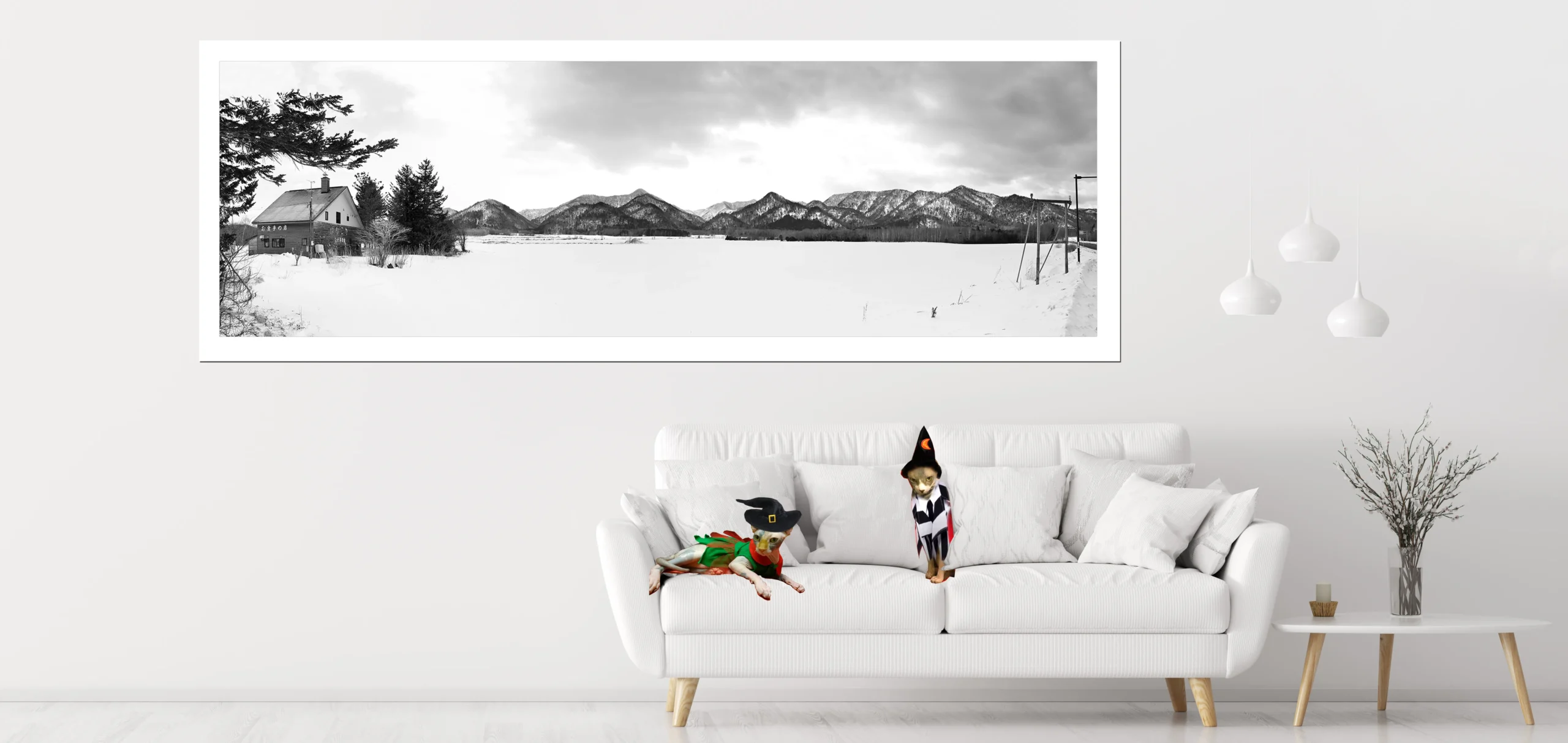 Black and White Minimalistic Snowscape and Winter Photos, Fine Art Photography with sphynx Cats