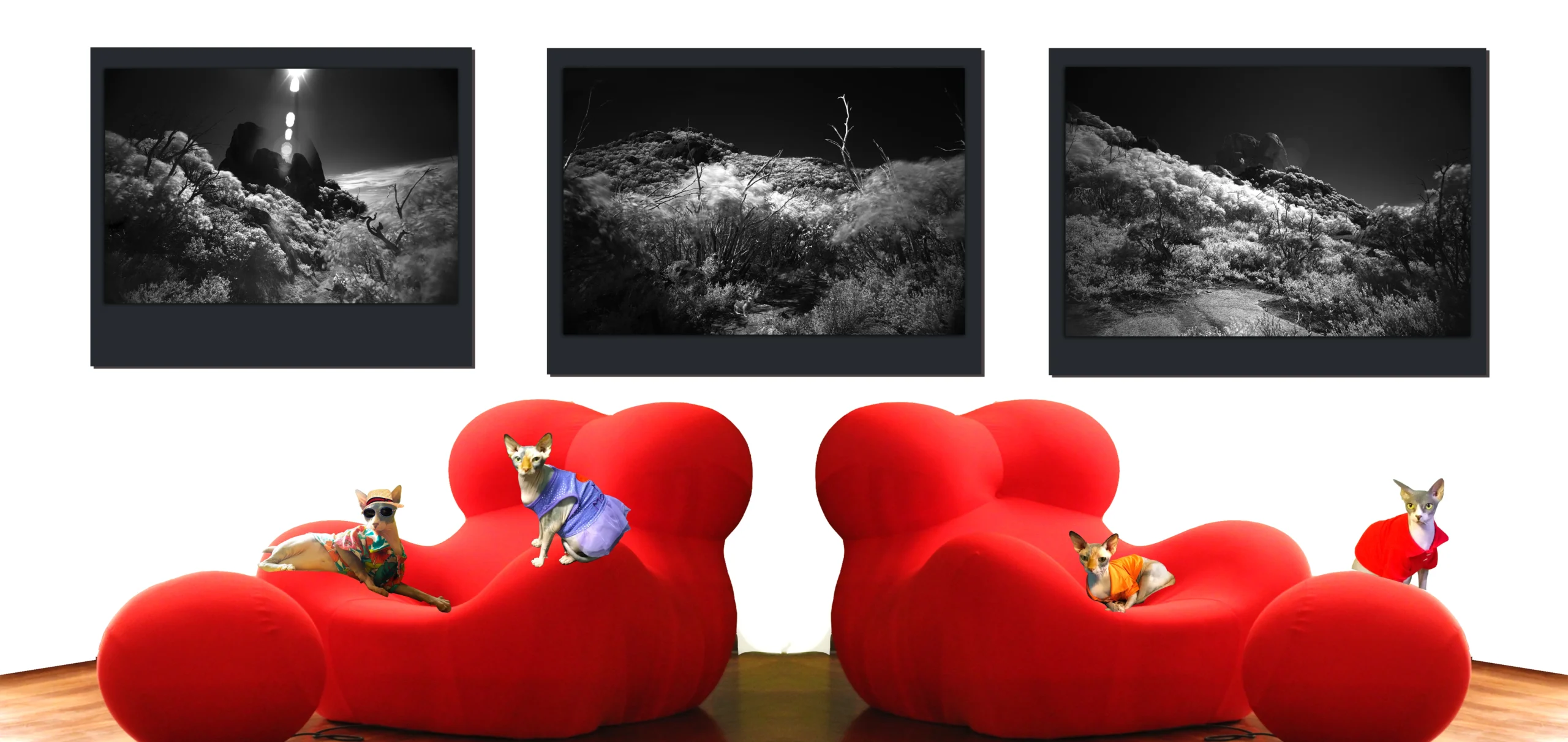 A BEGINNER’S GUIDE TO INVESTING IN ART LIKE A PRO