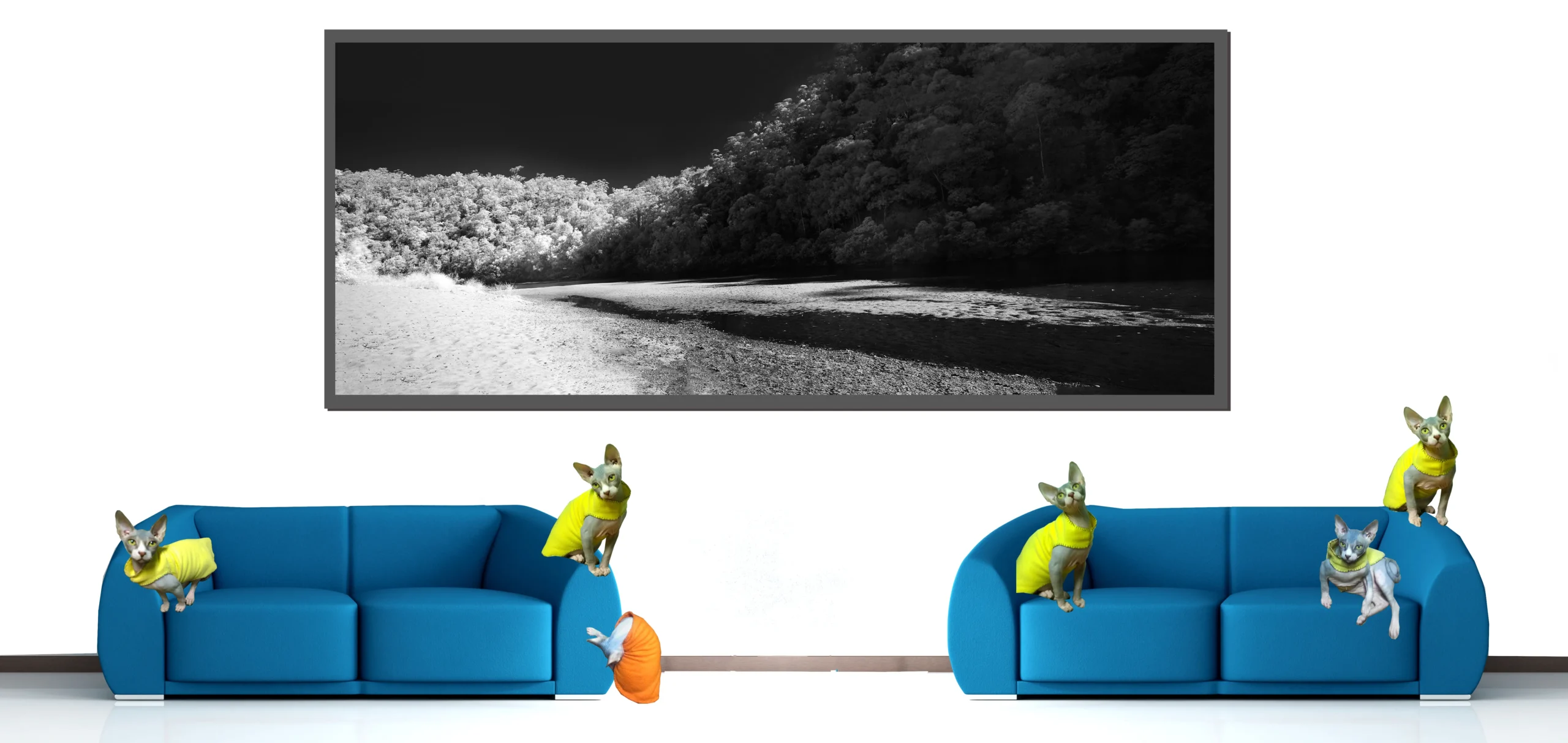 Infrared Waterscapes Fine Art Photographs for sale, Fine Art Black & White Infrared Waterscapes Photography, Infrared - The Surreal Waterscapes