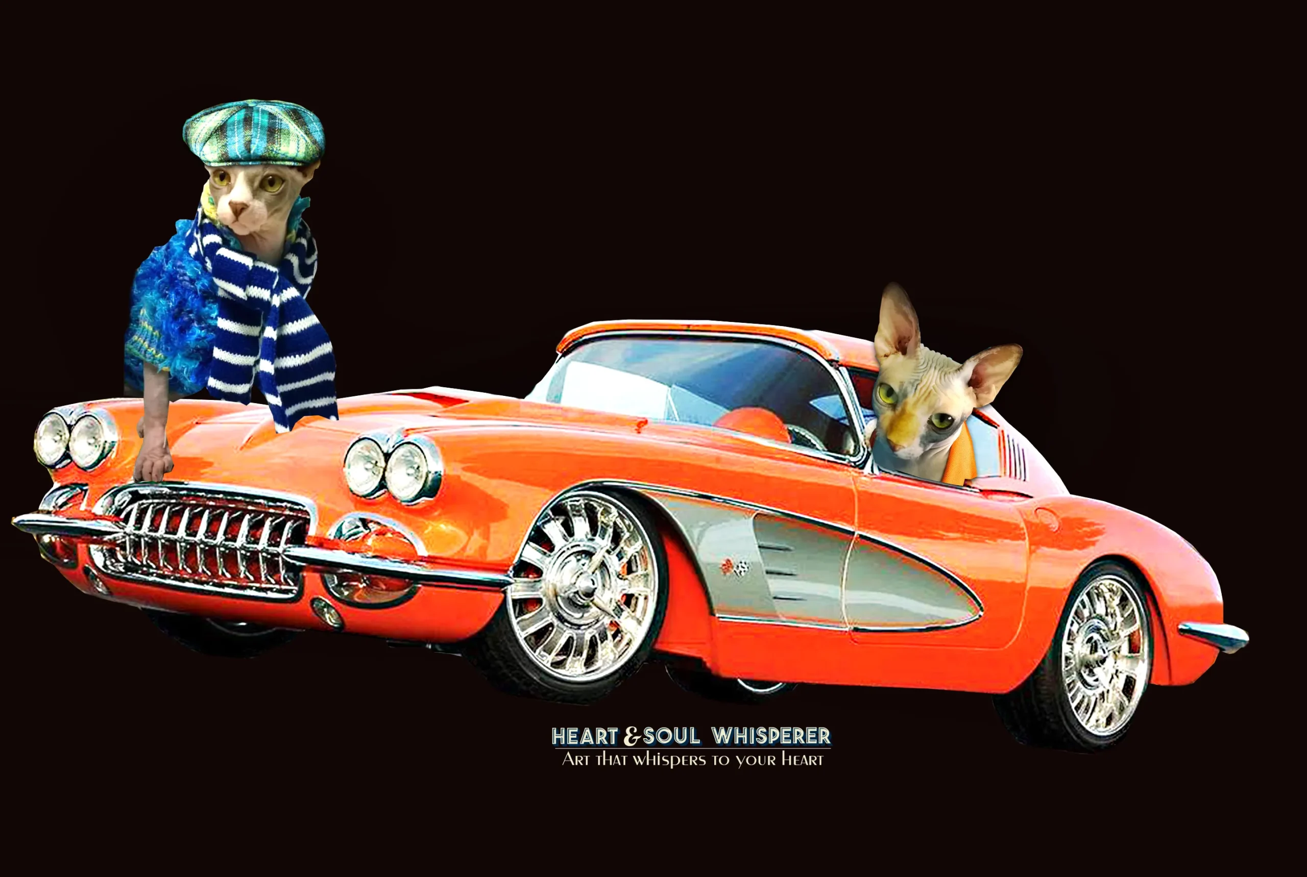 Heart & Soul Whisperer Art gallery -2 Sphynx Cats Zucky and Zooky