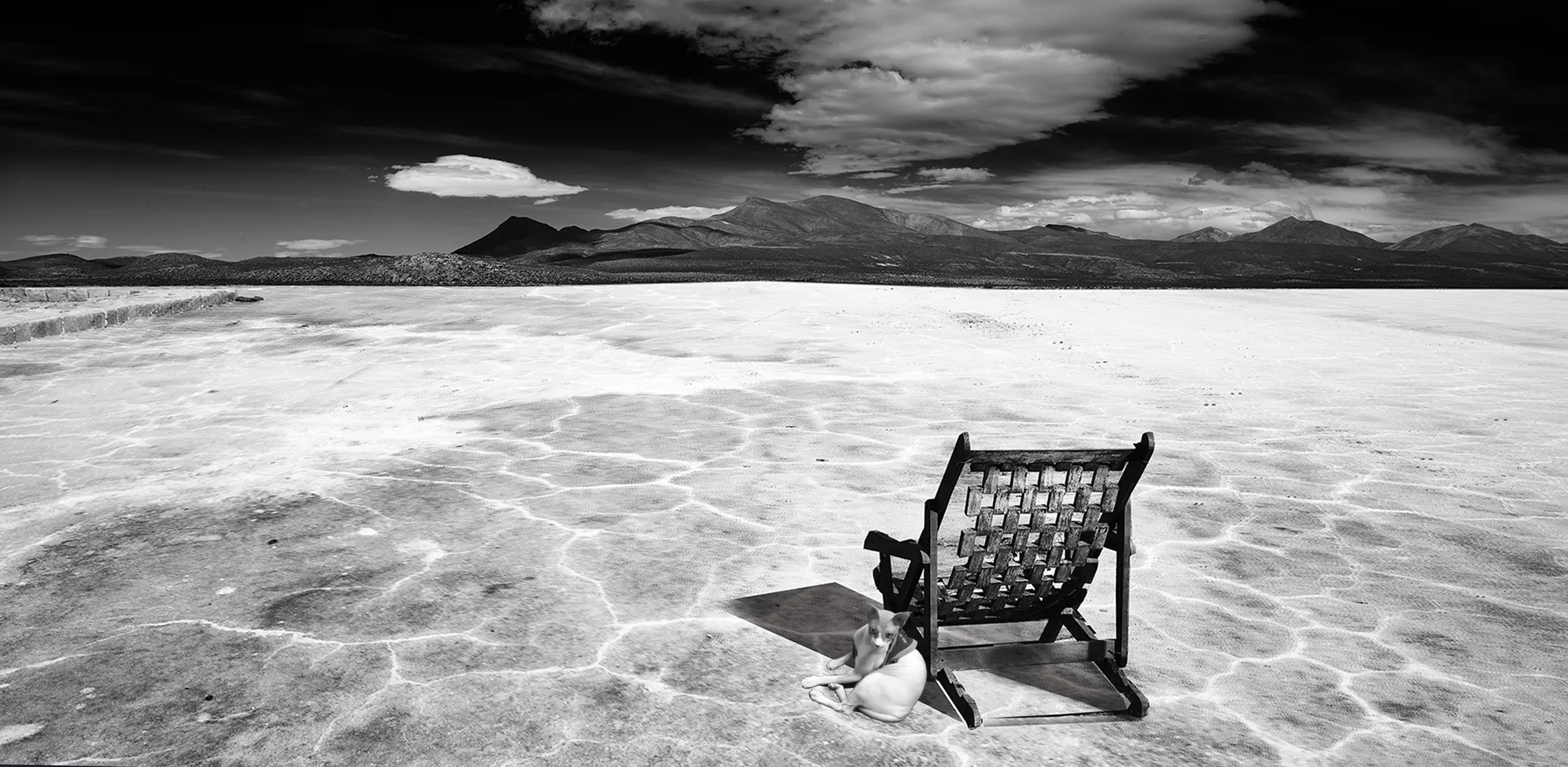 Pet Memorial, Grieving a Pet, Pet Death, Losing a Pet, Animal Loss, Animal Grief, Coping with Pet Loss, Mourning Pets, Pet Bereavement, Pet Owner Support, Pet Remembrance, Healing from Pet Loss