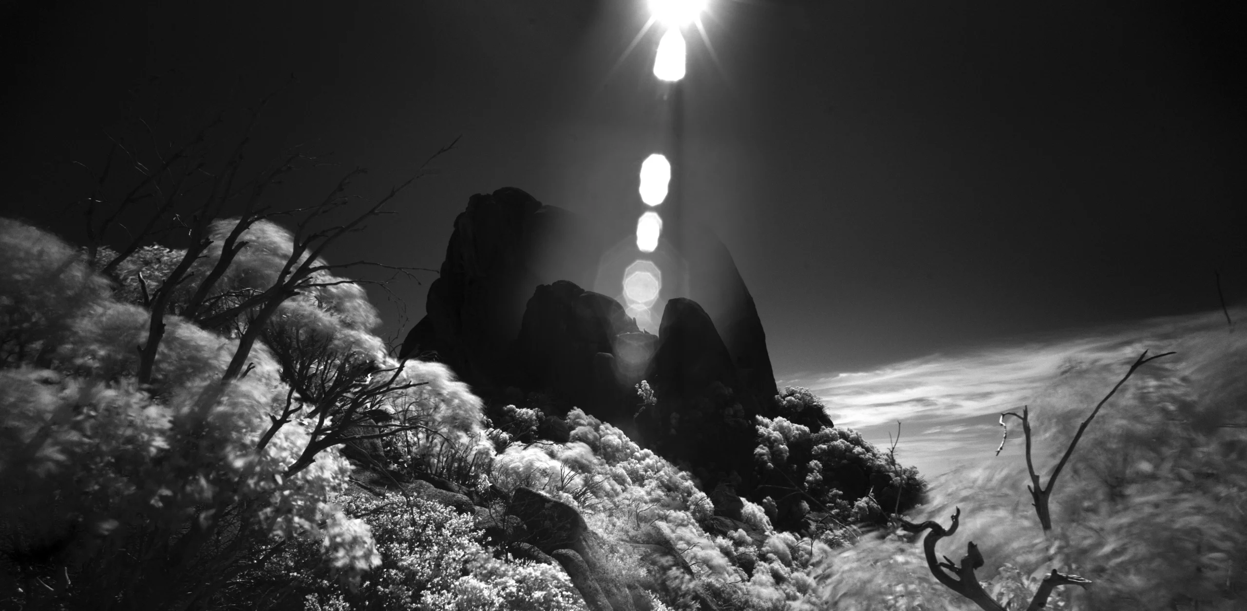 Art Buying Timeless Guide, Art Buying Tips, Art Collector Advice, Timeless Art Pieces, Art Investment, Art Purchase Guide, Online Art Buying, Art